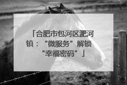 合肥市包河区淝河镇：“微服务”解锁“幸福密码”